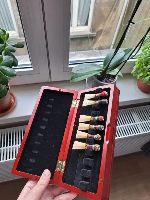 Musical Instrument Bazooka - 1個のバスーンリード収納ケース、メープル材製、リード20本収納可能