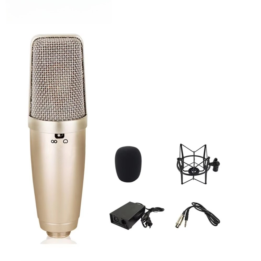 新品 キッズマイク スタンド付き カラオケ 歌 音楽 楽器  - Song With Musical Instrument のレビューと価格