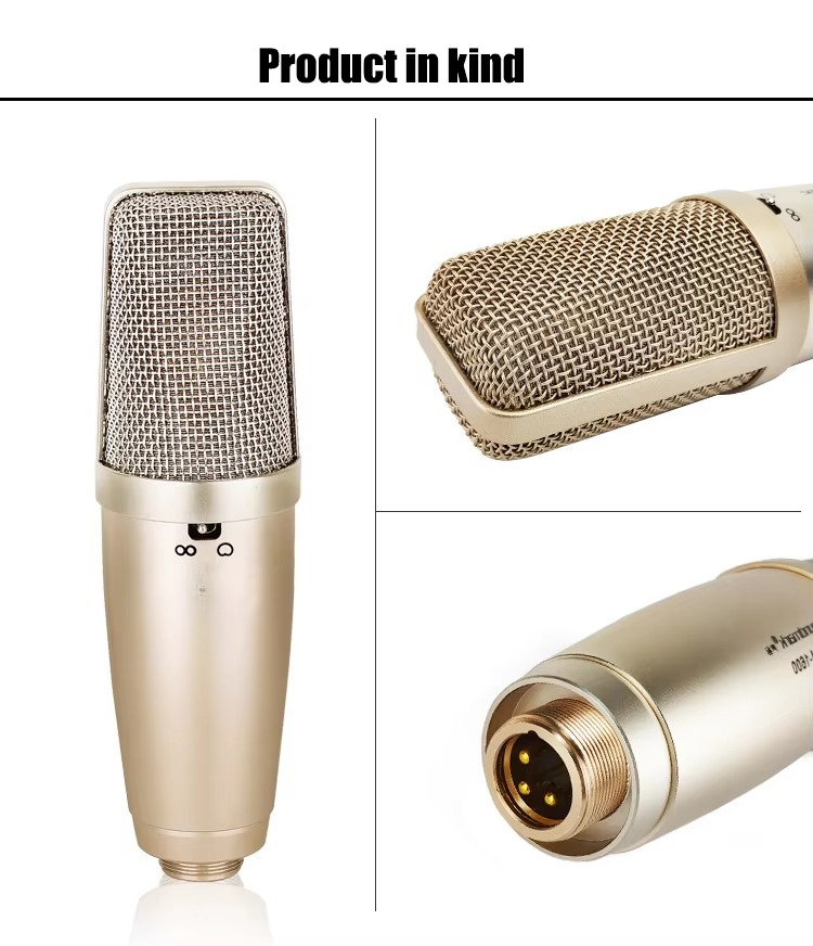 新品 キッズマイク スタンド付き カラオケ 歌 音楽 楽器  - Song With Musical Instrument のレビューと価格