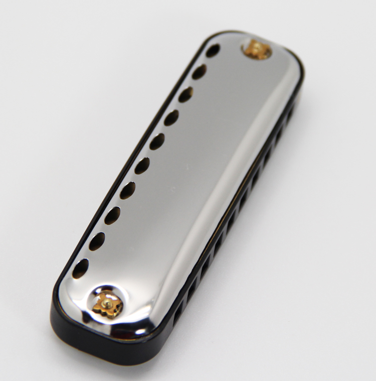 Easttopハーモニカbluescdiatonicハーモニ - Musical Instrument Reed のレビューと価格
