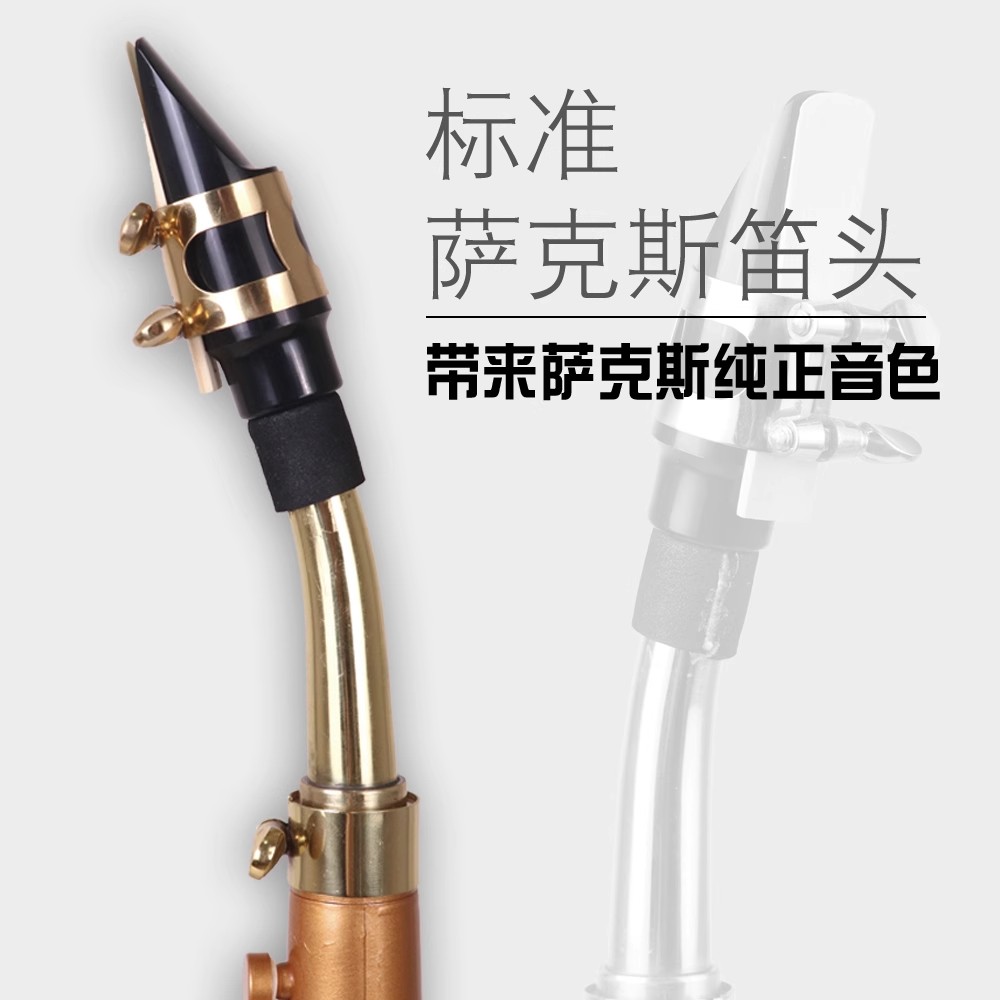 Littlesaxポケットサックス、バッグ付き楽器、reed - Musical Instrument Reed のレビューと価格