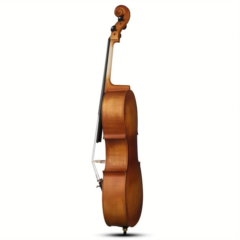 4/4 マットナチュラルカラー バスウッドパネル チェロ バ - Musical Instrument In Orchestra のレビューと価格