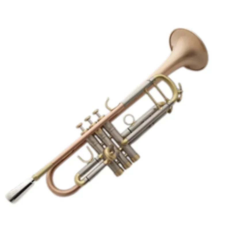 メーカーは、Dフラット調の小型金管楽器、ブラッシュ仕上げで重 - Musical Instrument Manufacturers のレビューと価格