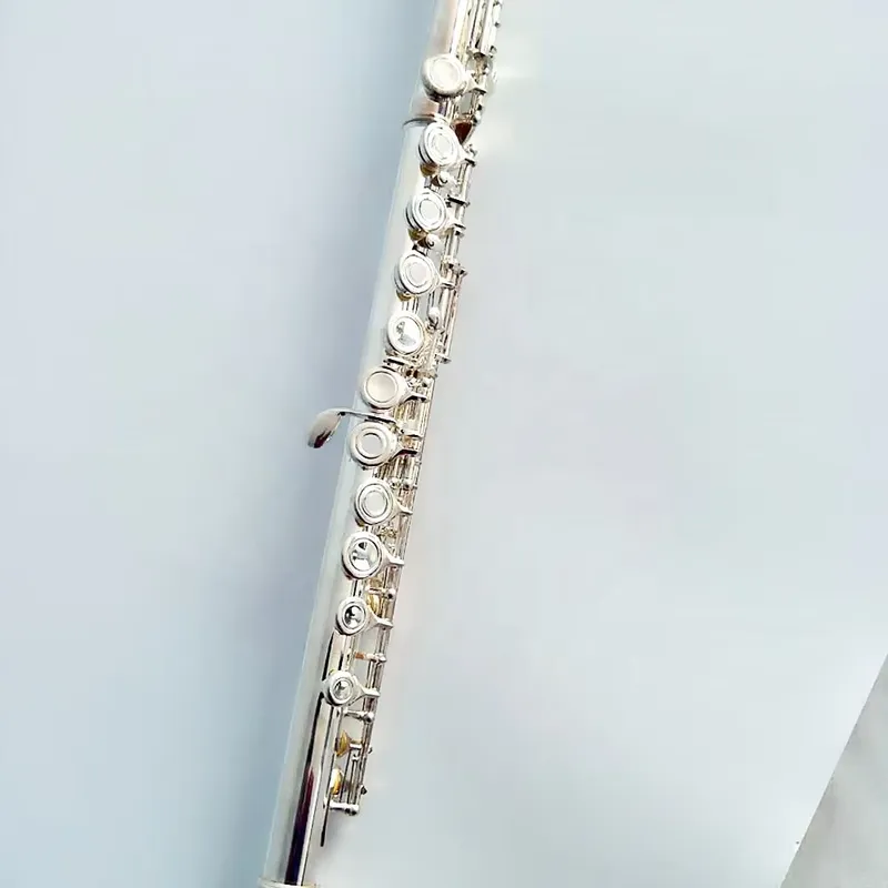 16/17穴銀メッキフルート、オープンキー、プロ仕様、ステー - Musical Instrument In Orchestra のレビューと価格