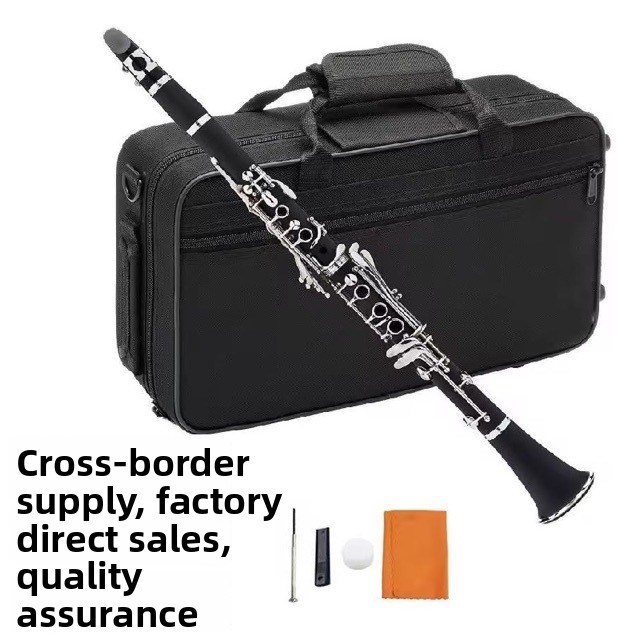 メーカー直販：B♭調17キーABSクラリネット、学生・大人向 - Musical Instrument Manufacturers のレビューと価格